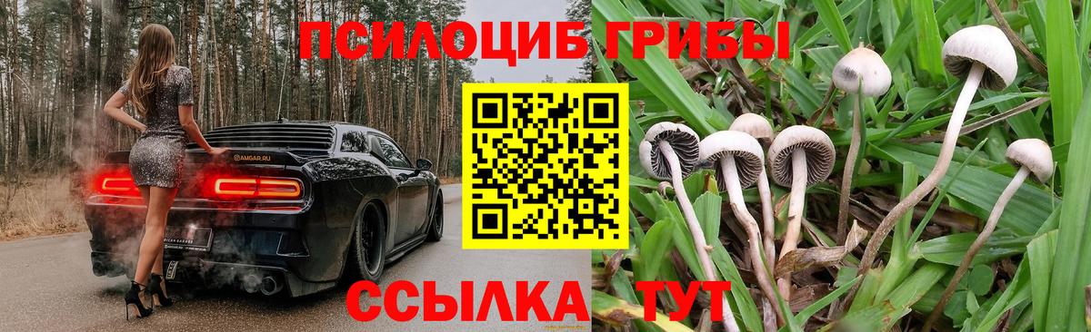 Галлюциногенные грибы GOLDEN TEACHER  Вход с VPN  Кировск  Галлюциногенные грибы мицелий 