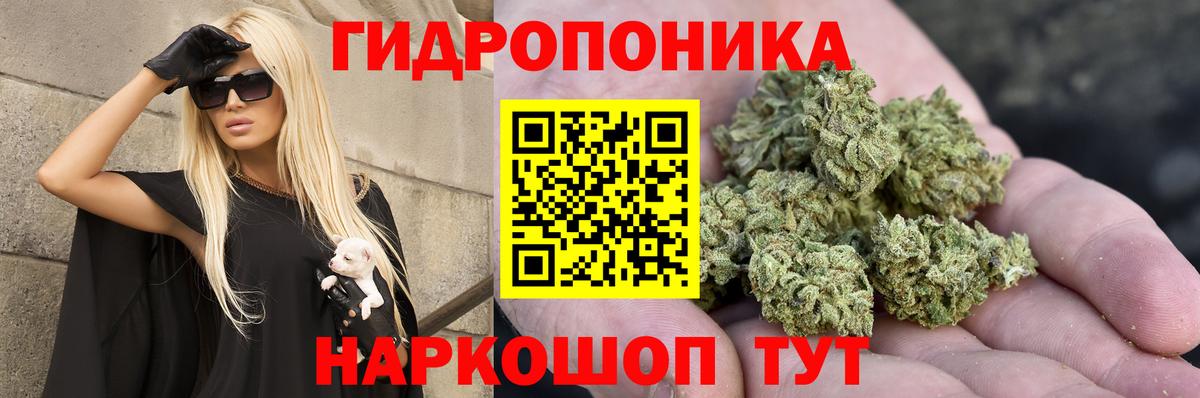 Конопля ГИДРОПОН  Вход с VPN  Кировск  Бошки Шишки семена  Канабис гибрид 